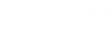 Survivor